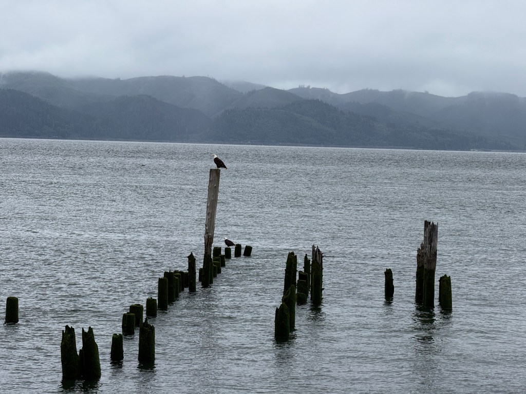 A calm body of water with weathered wooden pilings emerging from the surface, set against a backdrop of misty mountains under a cloudy sky. An eagle perches on one of the pilings, observing its surroundings.