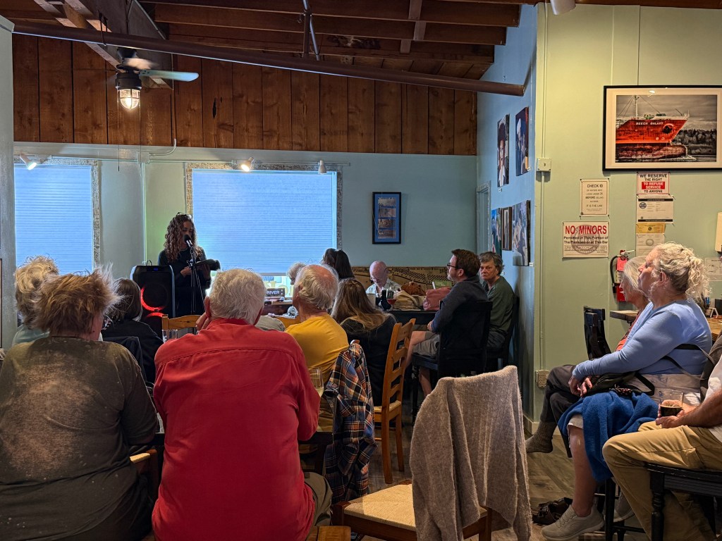 A performer singing on stage in a cozy café, with an audience of people seated at tables, some facing the stage and others looking towards the performer.