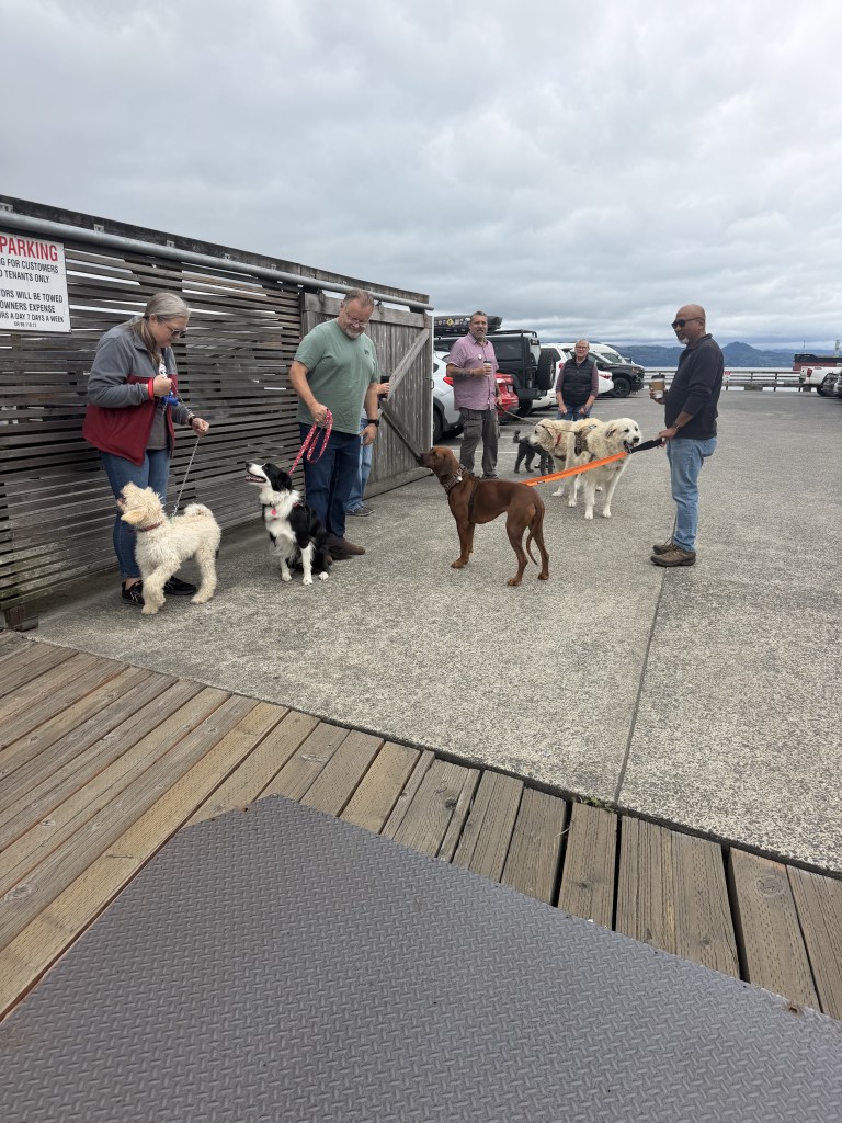 Group of people standing with dogs on leashes in a parking area, with wooden fencing and vehicles in the background.